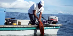 Ingenieros chocoanos crean un ‘app’ para vender pescado fresco Ingenieros chocoanos crean un ‘app’ para vender pescado fresco